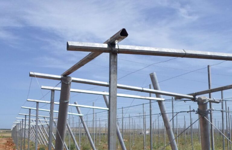 Pergola (1)